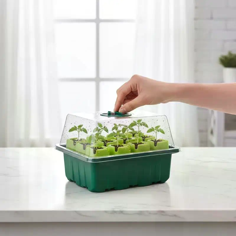 Dome Propagation Kit - 1 Set Anzuchtset für Samen, Mini-Gewächshaus,