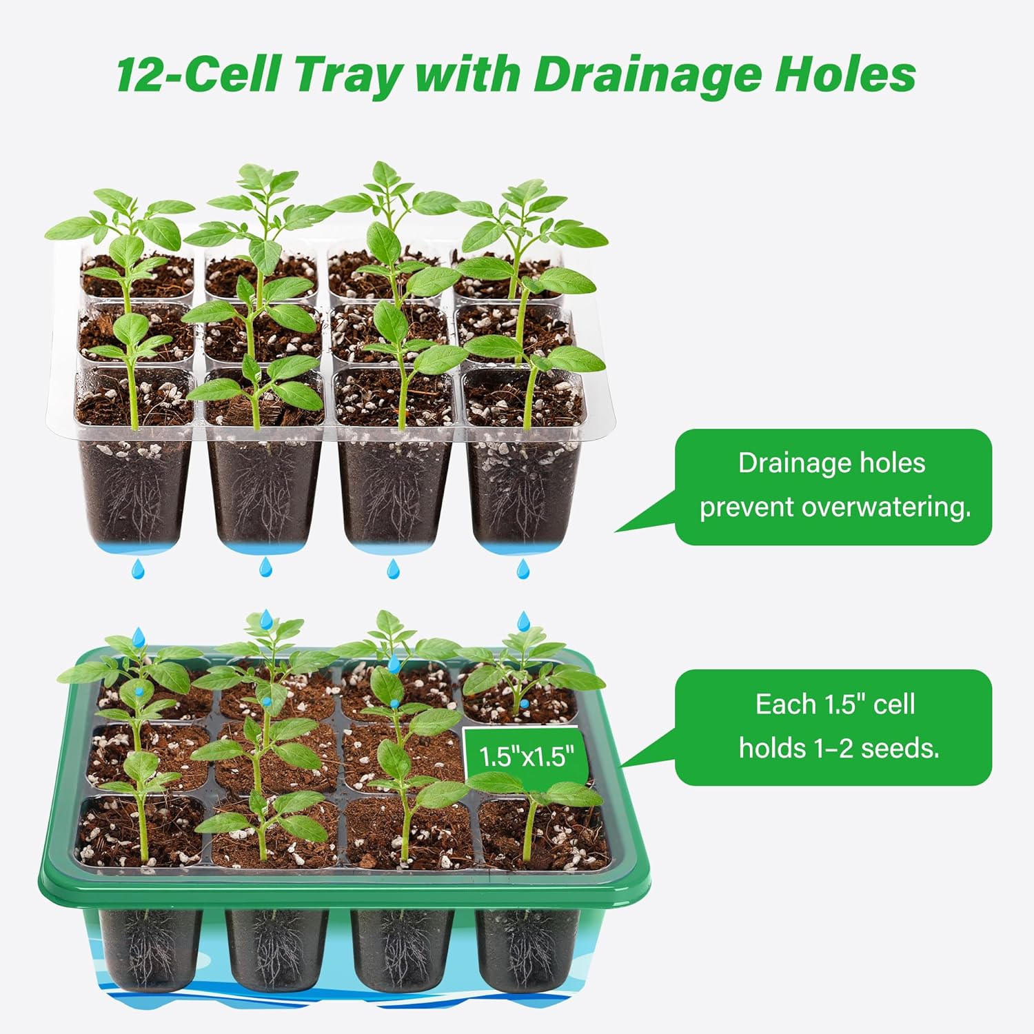 6/12 Grids Growing Starting Ki – Dome Propagation Kit Bewertung und Preis