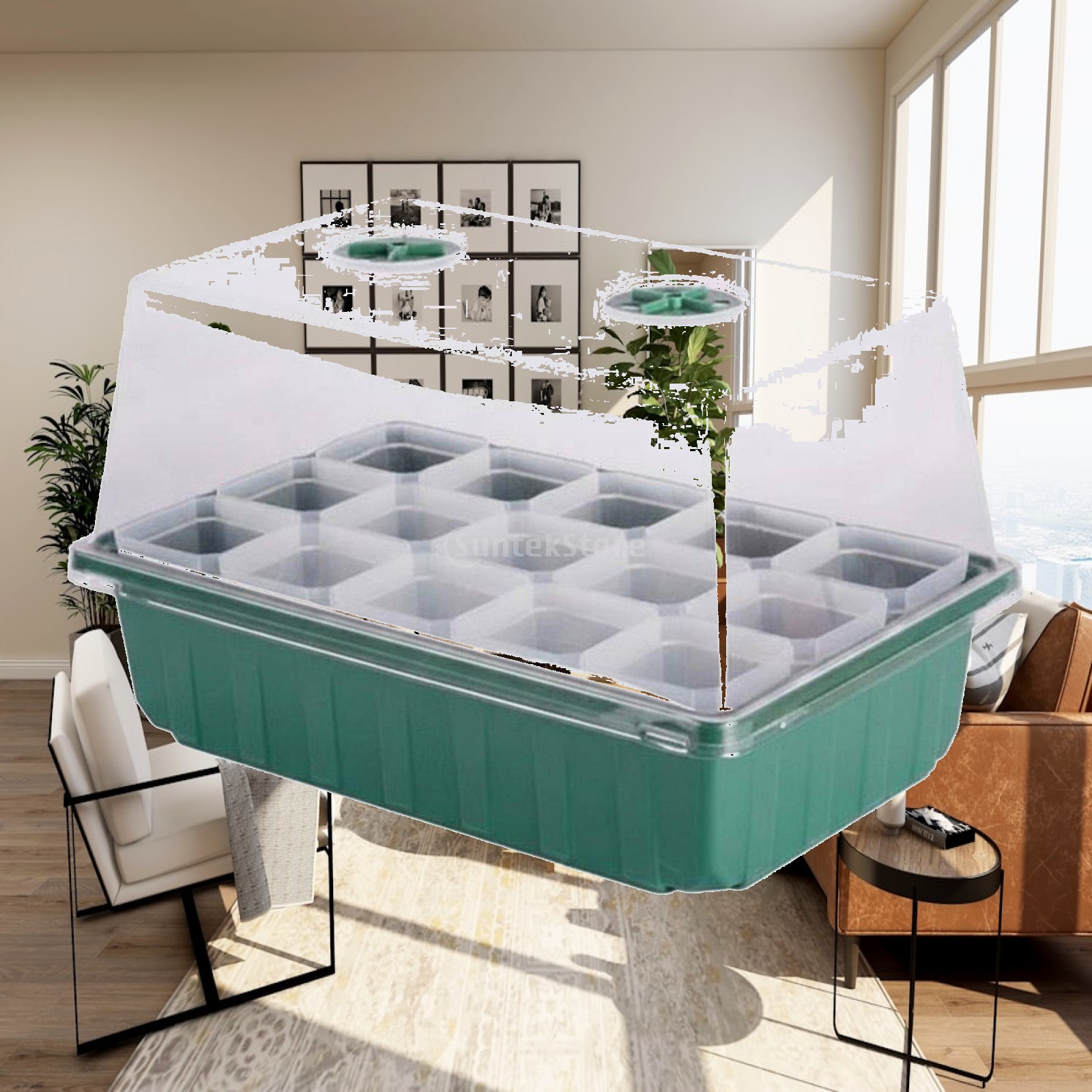 Mini-Gewächshaus Vermehrungsbo – Dome Propagation Kit Bewertung und Preis