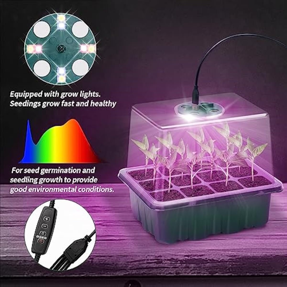 Saatgut-Vermehrungsset mit ver – Dome Propagation Kit Bewertung und Preis