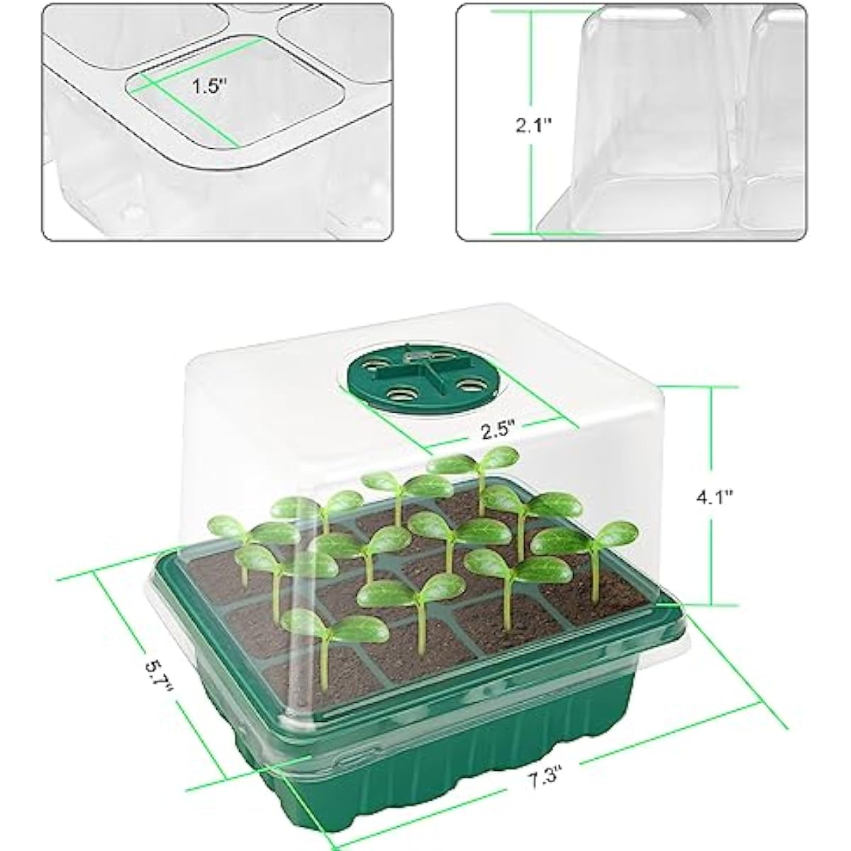 Saatgut-Vermehrungsset mit ver – Dome Propagation Kit Bewertung und Preis